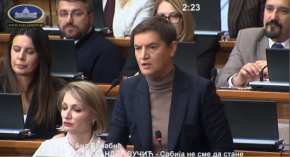 OTKUD TOLIKO NOVCA, KO GA JE I ZA ŠTA DAO? Brnabić zagrmela na blokadere u Skupštini: Što ne kažete kad ste transparentni? (VIDEO)